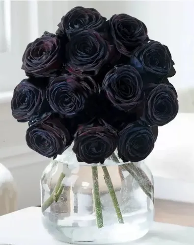 Make me happy every day with a bouquet of flowers 😍