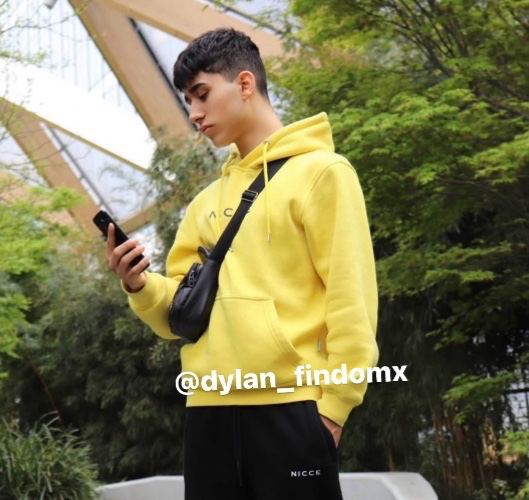 Mobile subscriptions 