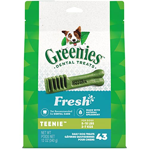 GREENIES Fresh Teenie Natural Dental Care Dog Treats, 43 Pack (5-15 lb. Dogs) & Feline Cat Treats Adult Natural Dental Care, Oven Roasted Chicken Flavour, 9.75oz. Tub