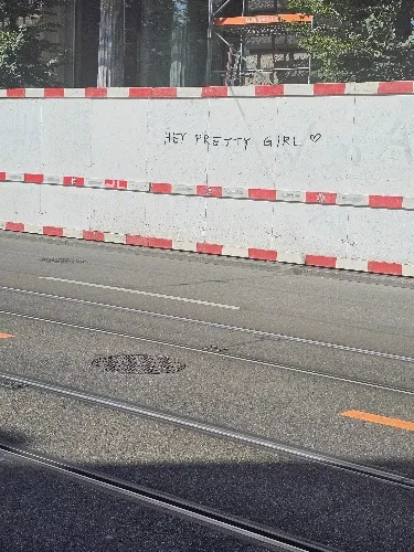 Swiss Slippy Voucher 