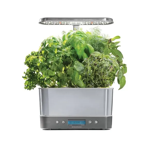 Hydroponic Herb Garden