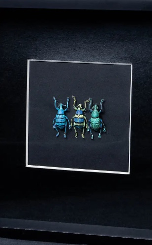 Framed Glitter Weevil Trio | Black Border