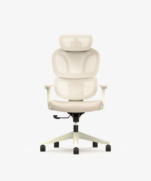 Chaise Ergonomique Colorée avec Coussin Confort Nuage