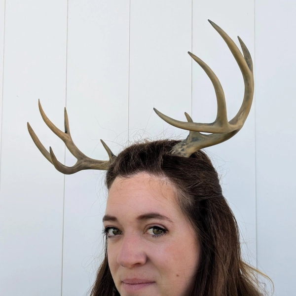 Wearable Antlers - Regular Size