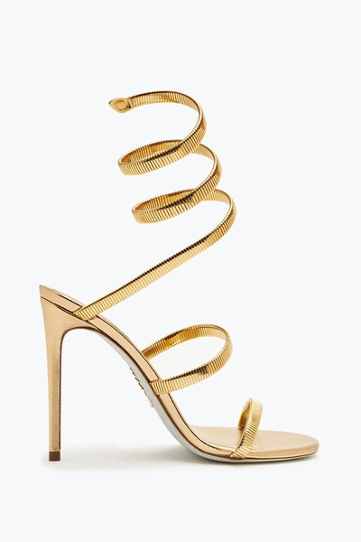 JUNIPER METAL GOLD SANDAL 105 | Rene Caovilla