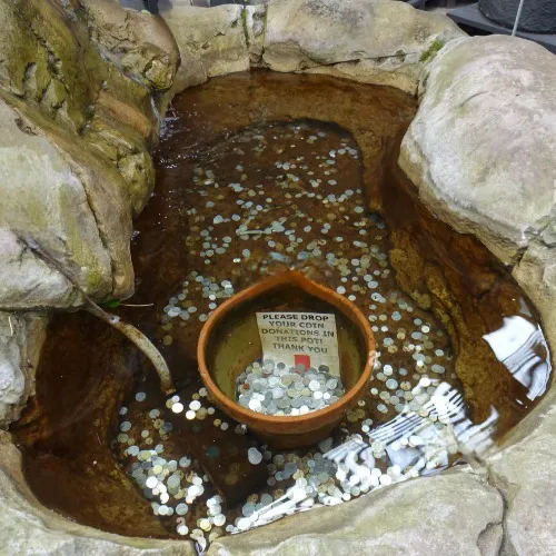 💵 in the wishing well