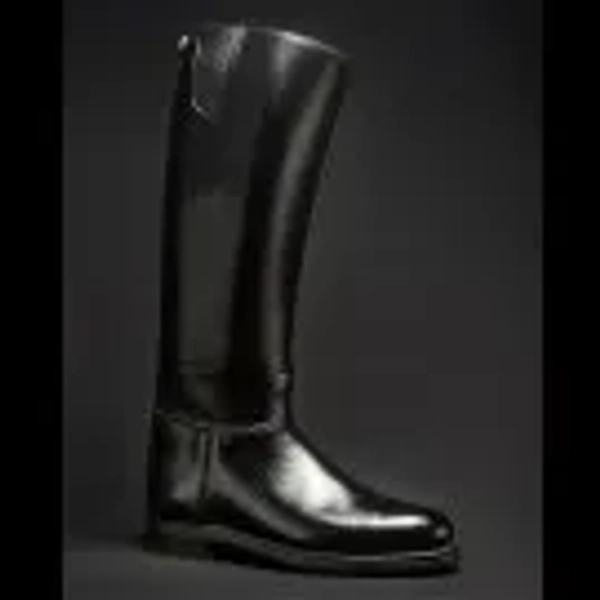 Dehner Dress Patrol Boot 