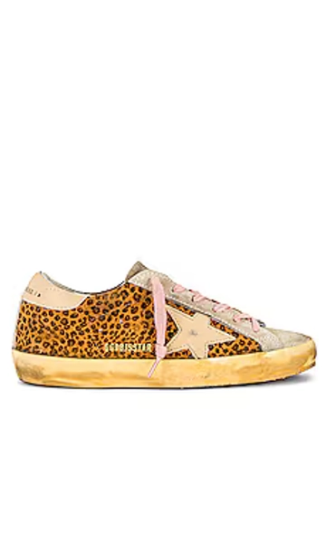 Golden Goose Superstar Sneaker in Maculated Brown, Ivory, & Warm Sand from Revolve.com