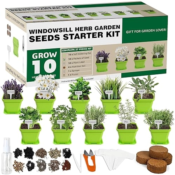 10 Herb Seeds Garden Starter Grow Kit with Green Pots