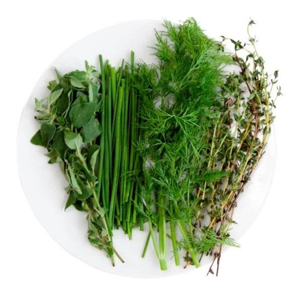 Refined Herb Mix Seed Bundle