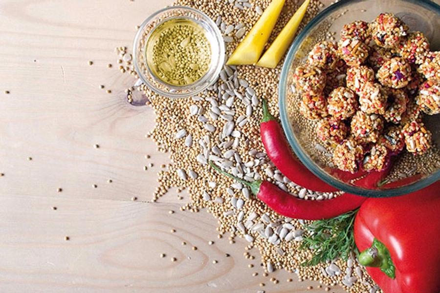 Lafeber Nutri-Berries El Paso 284 gr.