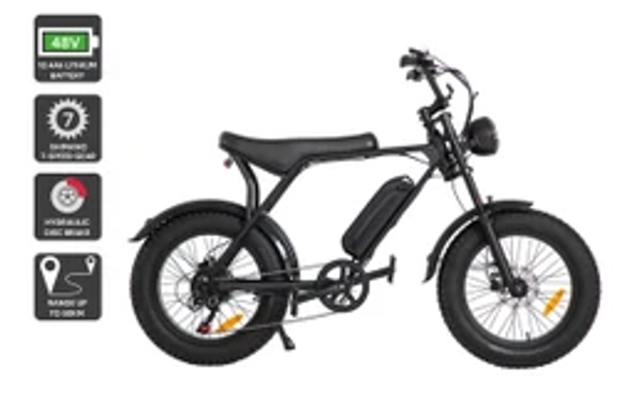 Fortis FatBro 48V 10.4Ah Fat Tyre Electric Bike