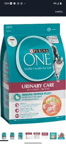PURINA ONE Adult Dry Cat Food Urinary Care Chicken 2.8kg : Amazon.com.au: Pet Supplies
