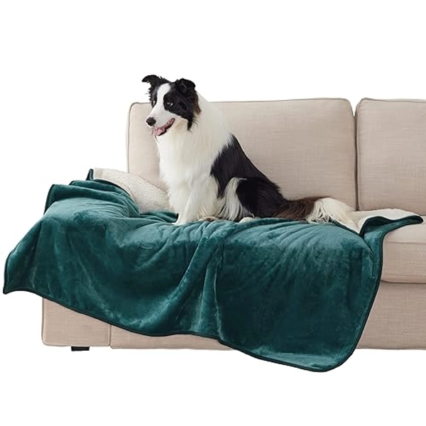 Bedsure Cat Blanket for Indoor Cats - Waterproof Calming Cat Blankets for Couch Bed Protection, Sherpa Fleece Pet Blanket, Soft Plush Reversible Throw Furniture Protector, 60"x50", Green