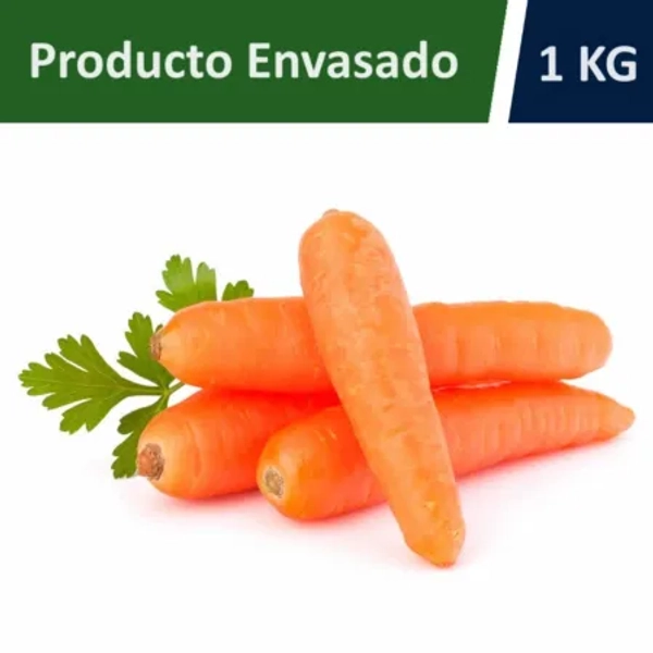 ✦ Carrot Bag, Inara's food 🥕🐰