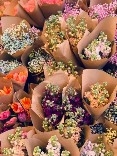 Flowers 