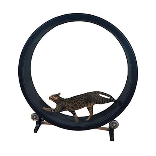Cat Exercise Wheel Cat Climbing Frame Cat Toy Cat Litter Cat Furniture Roller Cat Treadmill Cat Running Wheel Diameter 1.2 Meters