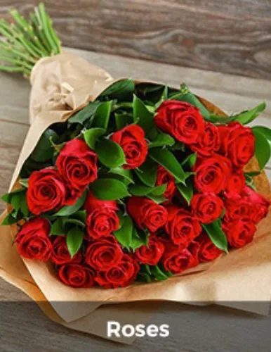 Red Roses for my Lady