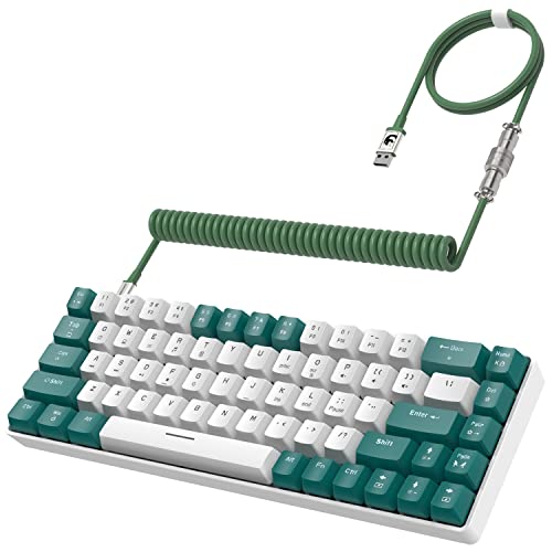 YINDIAO T8 60% Gaming Keyboard,68 Keys Compact Mini Wired Mechanical Keyboard with 18 Chroma RGB Backlit,Blue Switch,USB C Coiled Keyboard Cable,for PC,Laptop,Mac,PS4,XBOX-Green - Green(Blue Switch)