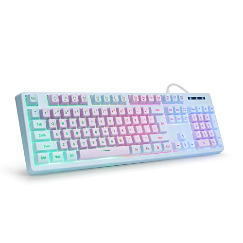 HUO JI Gaming Keyboard USB Wired with Rainbow LED Backlit, Quiet Floating Keys, Mechanical Feeling, Spill Resistant, Ergonomic for Xbox, PS Series, Desktop, Computer, PC, Purple Blue - Purple/Blue