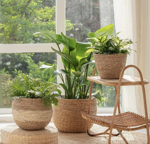 Garden Supplies 