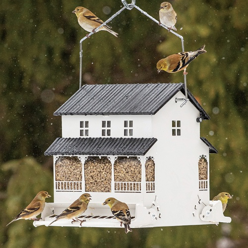Bird Feeder Refill