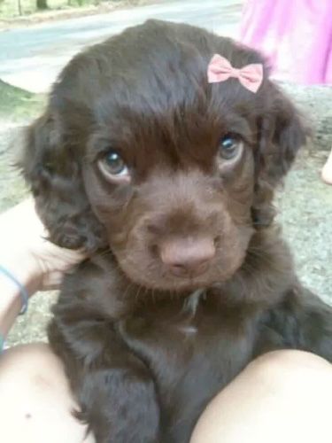 help me pay for my first apartment ໒꒰ྀིᵔ ᵕ ᵔ ꒱ྀི১ 