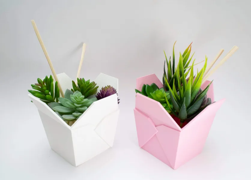 Chinese Takeout Planter | White / 5.5 in