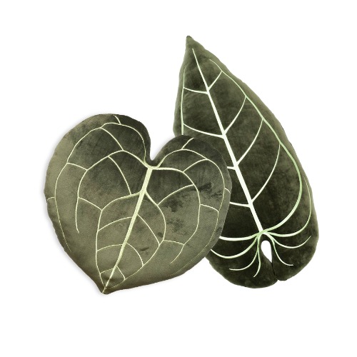 Anthurium Leaf Set