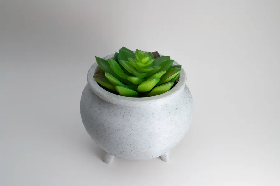 Cauldron Planter | Black / 4.5