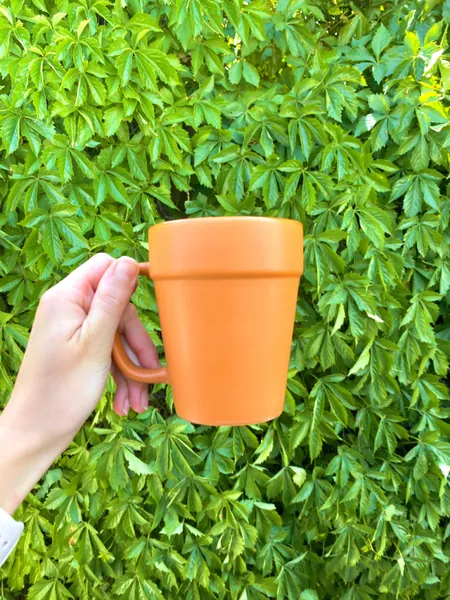 Terra-cotta Pot Coffee Mug