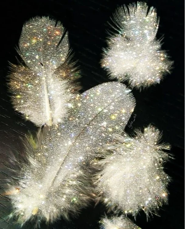 ✨Angel feathers✨