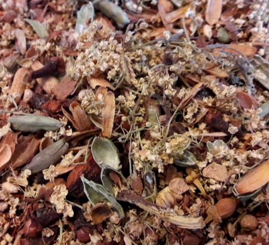 Tisane des Sorcières | Default Title