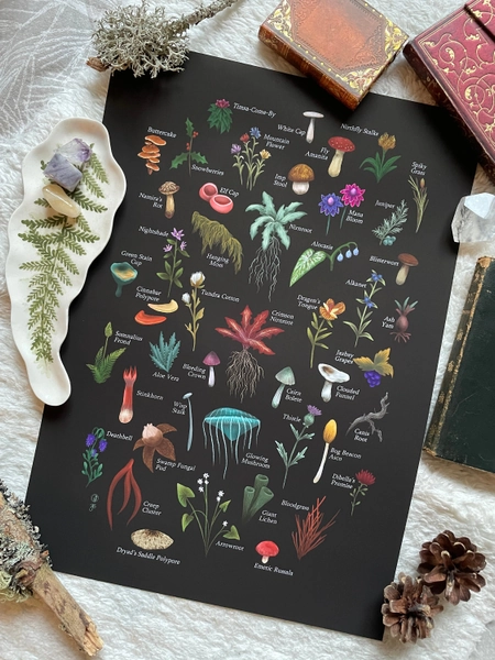 Herbs of Tamriel Art Print