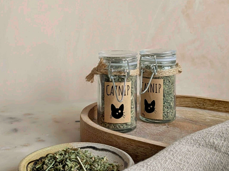 Canadian Grade Catnip 