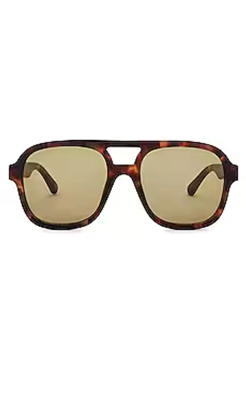 AIRE Whirlpool in Dark Tort & Khaki Tint from Revolve.com