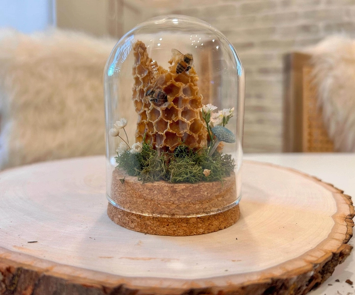 Real Honey Bee Taxidermy Oddity in Mini Glass Dome Jar, Miniature Bee Decor with Flowers, Insect Decorations, Entomology, Bee Gift- 3inch