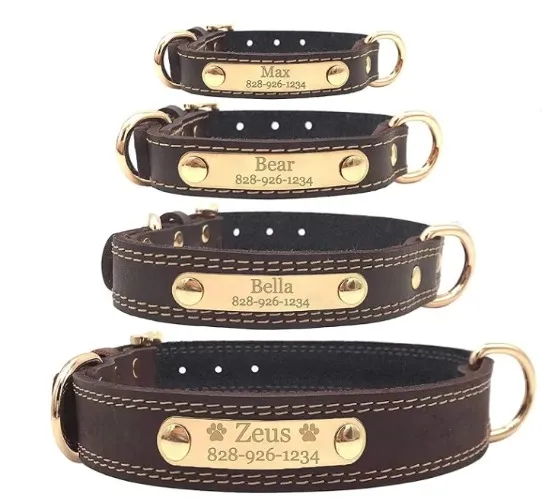 Personalized Dog Collar
