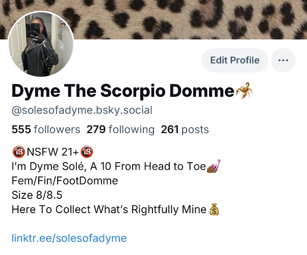 555 Followers On BS🥳