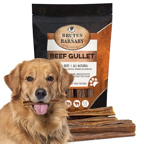Gullet Sticks for Dogs, All Natural Single Ingredient Beef Jerky Chews, Healthy Beef Gullet Sticks, Naturally Occurring Glucosamine & Chondroitin, Can Help Joint Function for Puppies or Senior Dogs - 6" Round - 1 Count (Pack of 15)