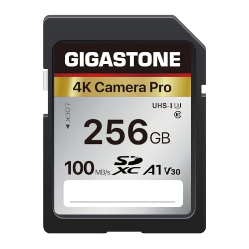 Gigastone 256GB SDXC Memory Card 4K Pro Series Transfer Speed Up to 100MB/s Compatible with Canon Nikon Sony Camcorder, A1 V30 UHS-I Class 10 for 4K UHD Video - 256 GB