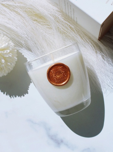 8 OZ COCONUT & MANGO CANDLE (60+ HOUR BURN TIME)