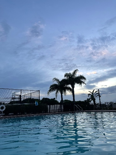 Vacation 