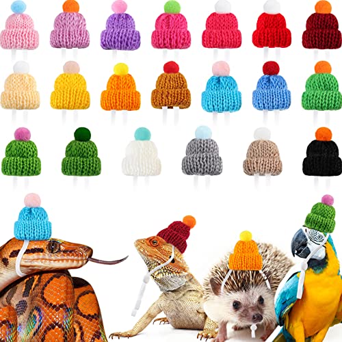 Hats for little guys