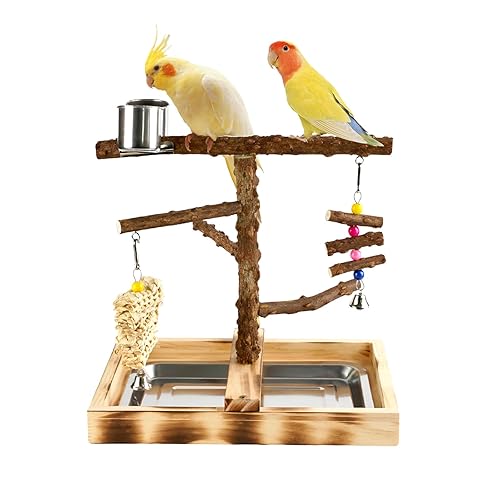 Natural Wood Parrot Toys and Bird Toys Extremely Accurate Birds Ideal Toy Bird Cage Accessory for Canaries Etc-Removable and Tray Bird Perch Stand-2 Stainless Steel Cups-2 Chimes Toys for Birds