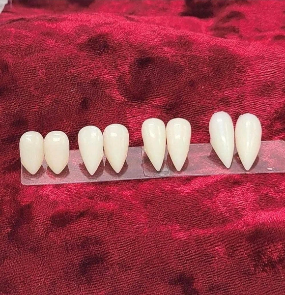Reusable Fangs with Molding Kit for custom fit natural looking realistic cosplay anime vampire etc