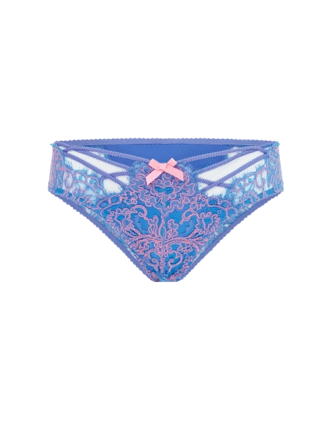 Eviee Brief