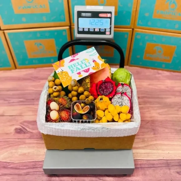 Buy 12 Pound Tropical Hell Fruit Feast Box - freshtropicalfruits.com.au