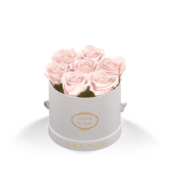 Le Petit Round Eternity Roses | Blush