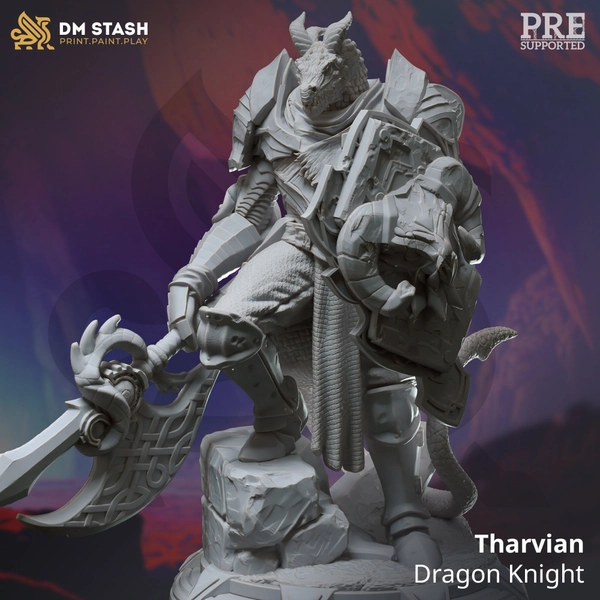 Dragonborn Paladin Knight Cleric Premium dnd Miniature Mini | 28mm 32mm to 100mm | Resin 3D Printed | 50382
